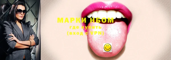 дживик Надым