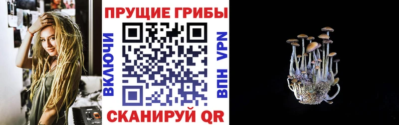 Псилоцибиновые грибы прущие грибы  где купить   гидра   Зеленодольск 